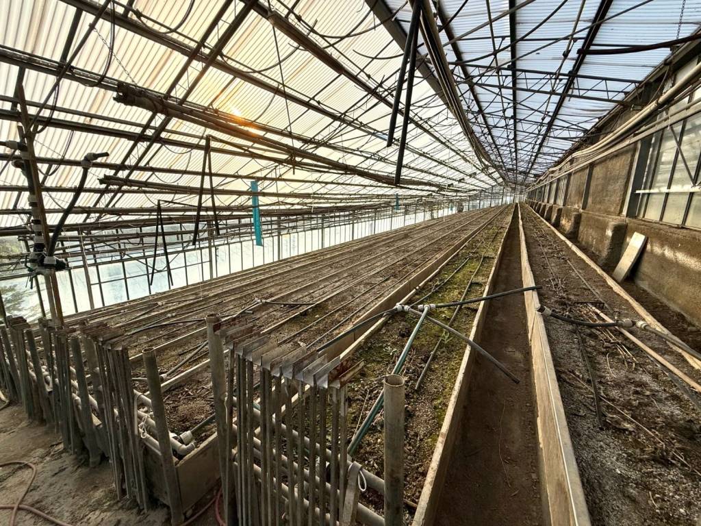 Terreno a Sanremo in Via Molini Bianchi Grossi - Foto 3