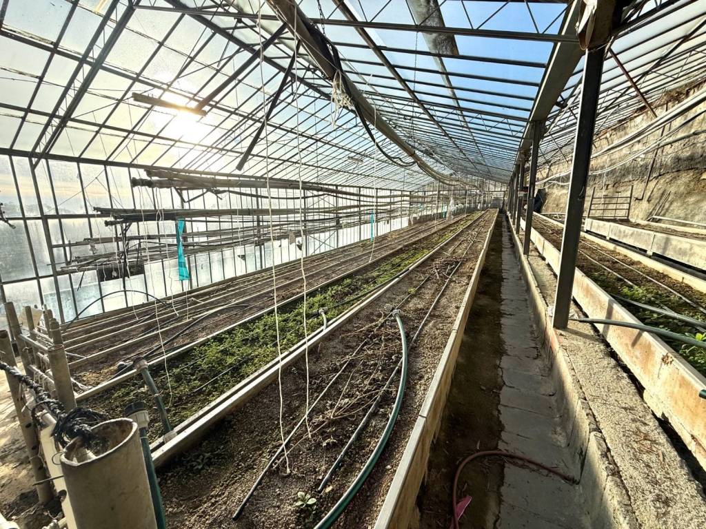 Terreno a Sanremo in Via Molini Bianchi Grossi - Foto 5