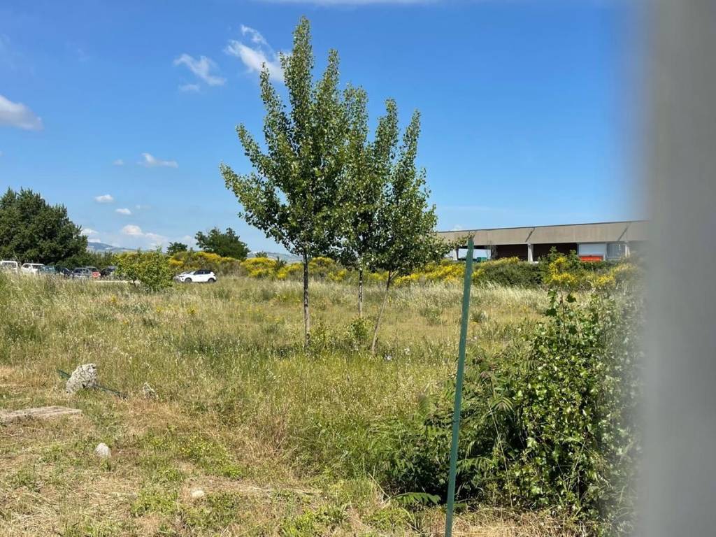 Terreno a Larino - Foto 2