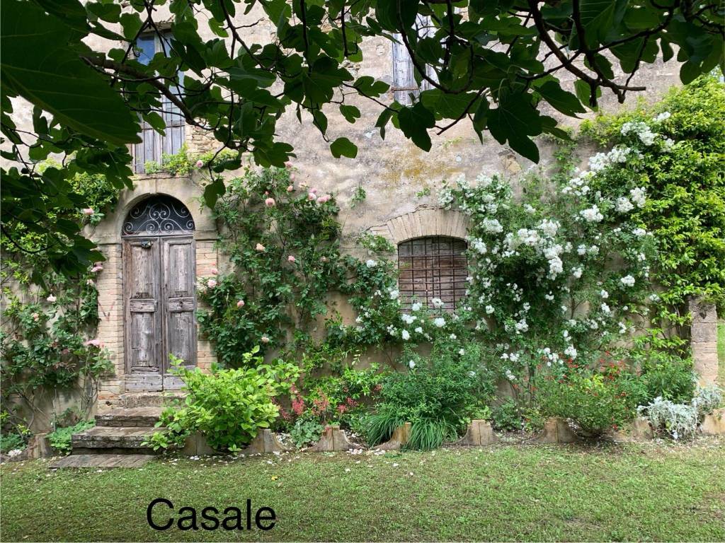 Rustico / casale a Urbania in Via della Porcellana - Foto 2