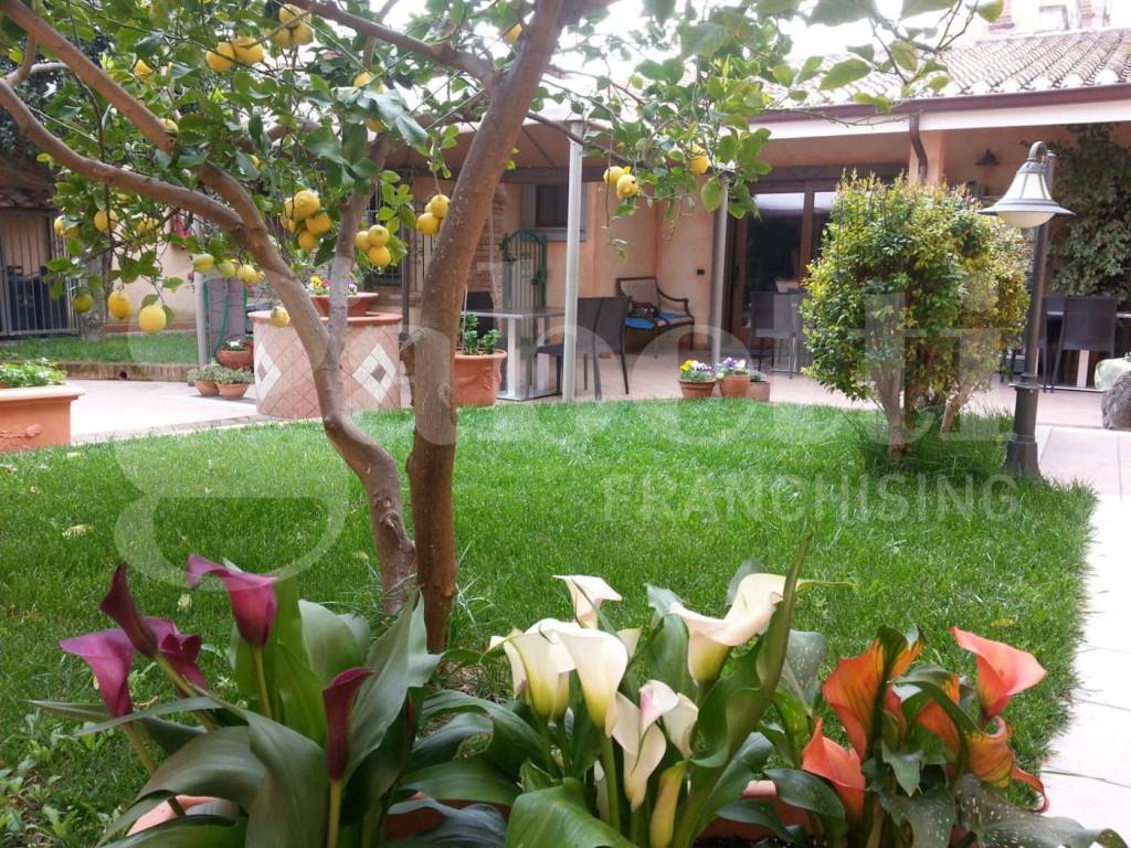 Casa indipendente a San vero milis in via umberto I, 123 - Foto 3