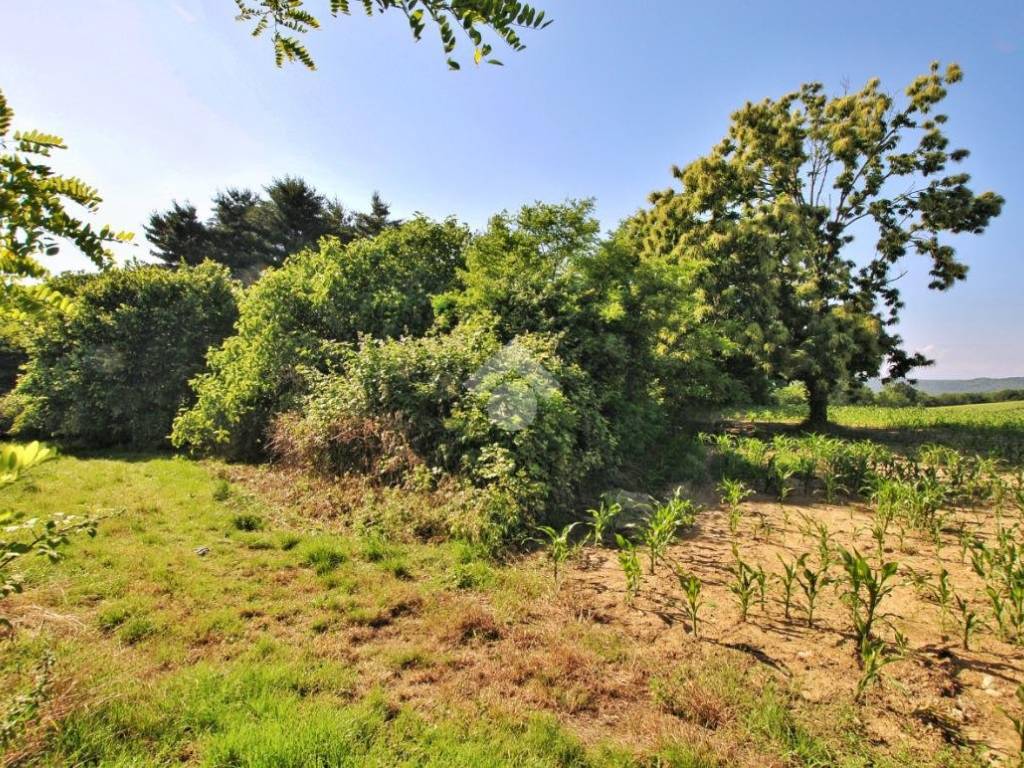 Immobile a Moncrivello in Vicolo manera - Foto 2