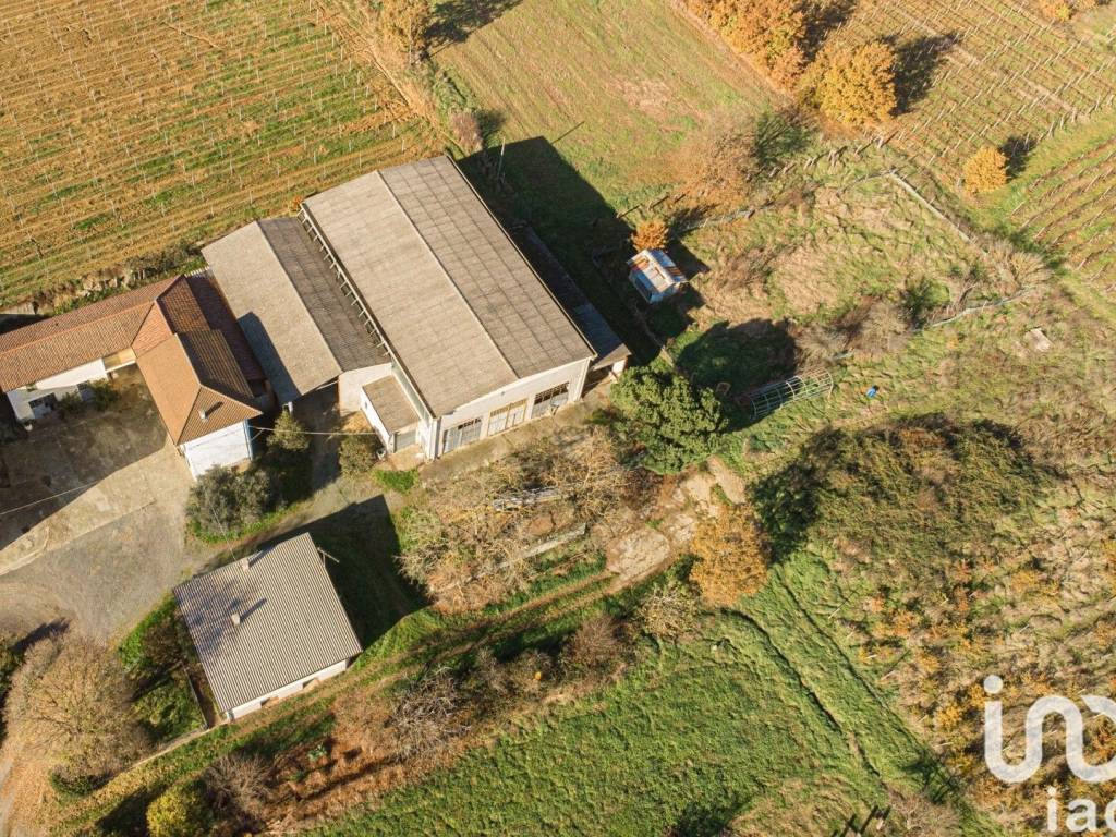 Rustico / casale a Carpeneto in Cascina Bernardina, 238 - Foto 2