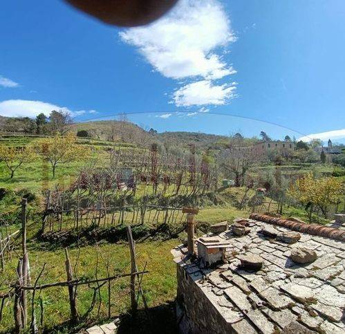 Rustico / casale a Ne in Via Zerli - Foto 2