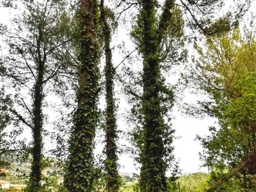 Villa a Grottammare - Foto 5