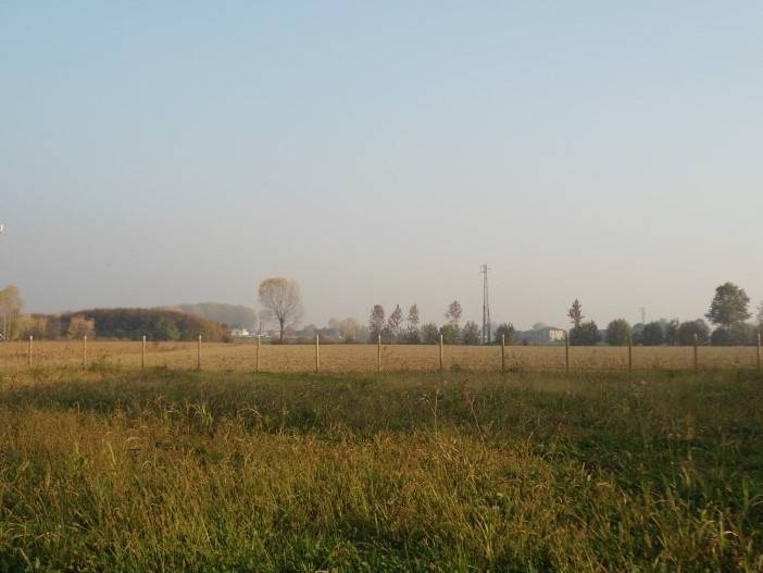 Terreno a Cervarese santa croce - Foto 2