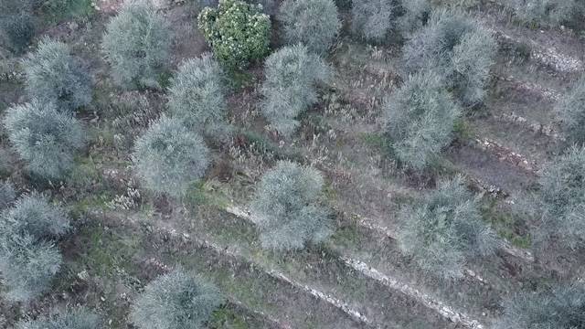 Terreno a Dolceacqua - Foto 2