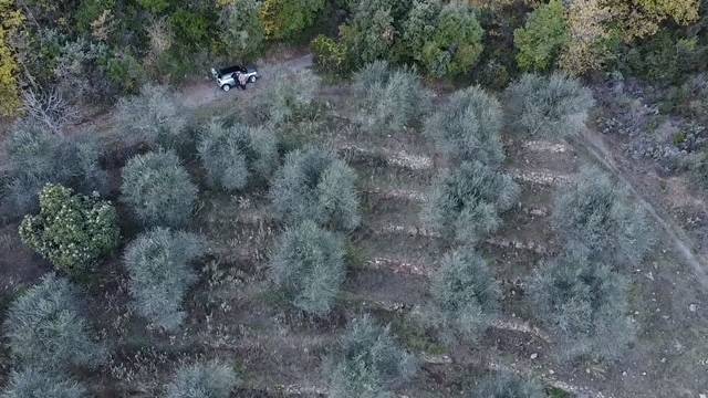 Terreno a Dolceacqua - Foto 4