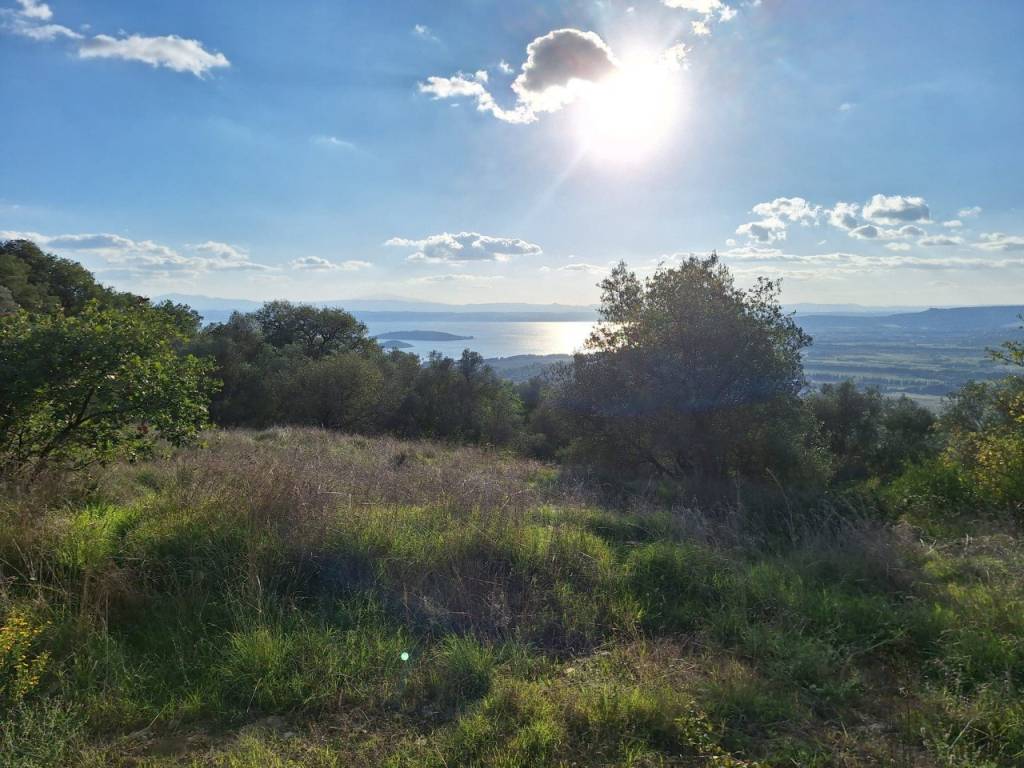 Terreno a Passignano sul trasimeno - Foto 3