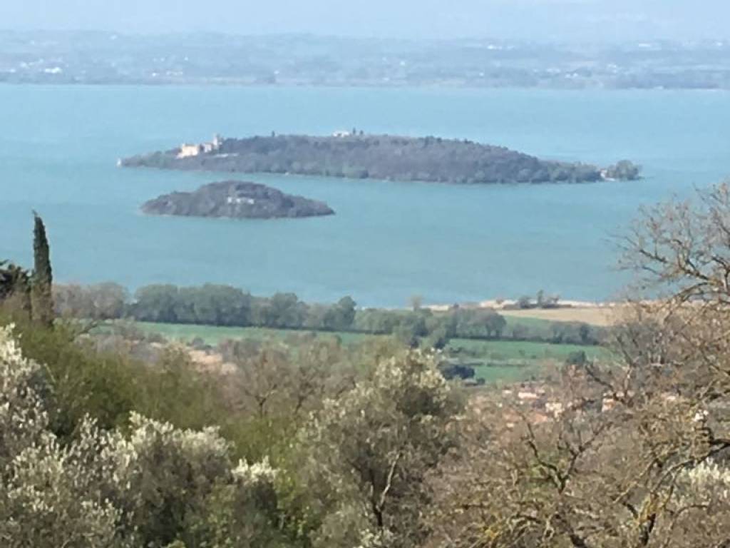 Terreno a Passignano sul trasimeno - Foto 4