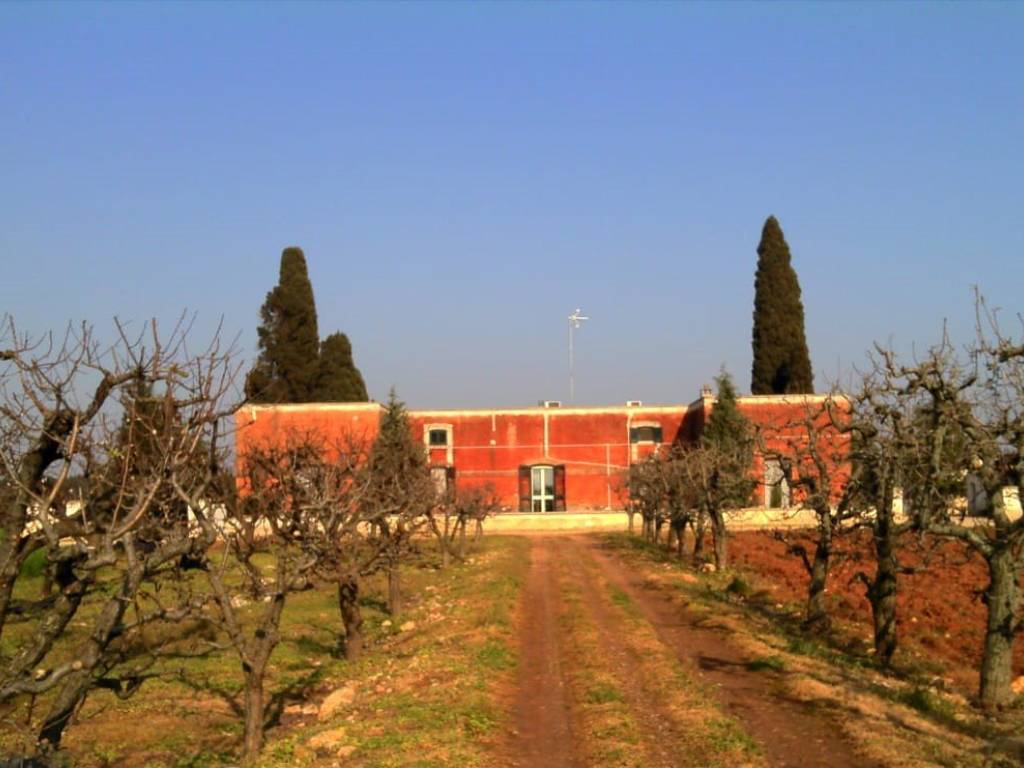 Villa a Copertino - Foto 5