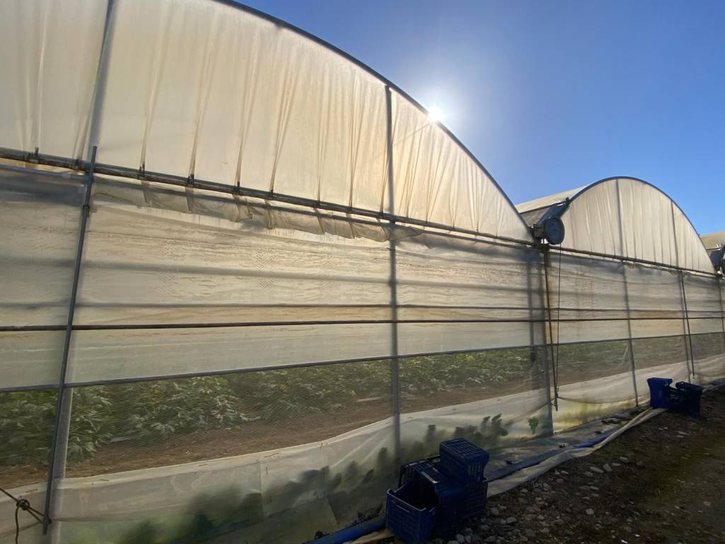 Terreno a Terracina in Strada Migliara 56, 27 - Foto 5