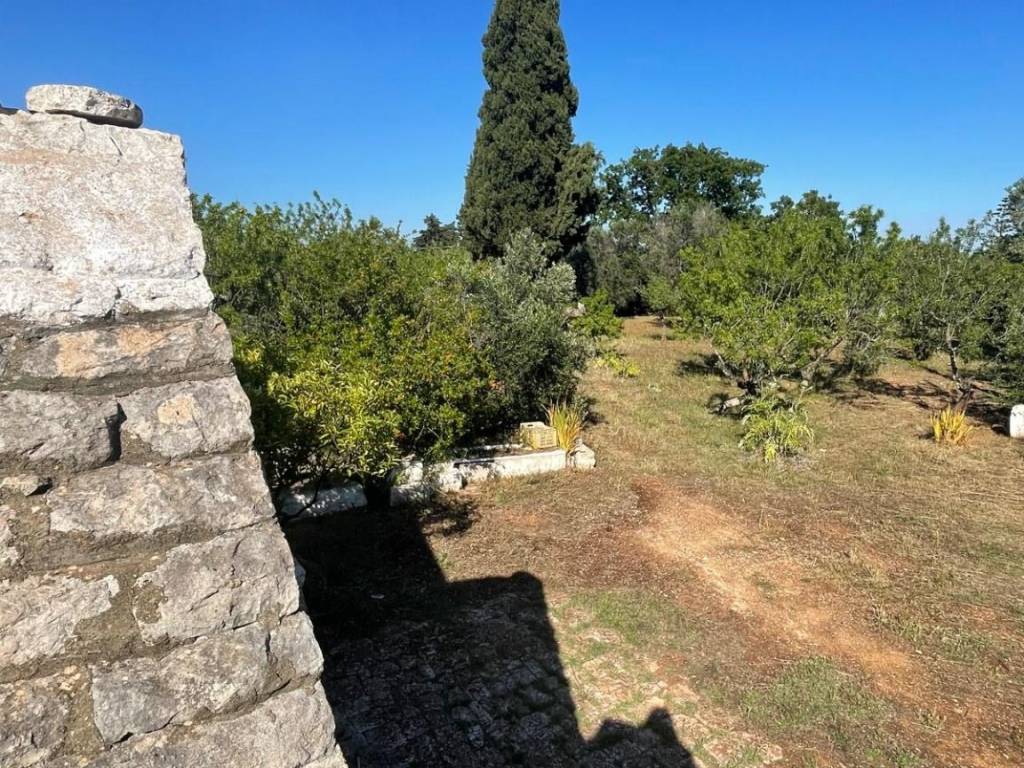 Rustico / casale a Ceglie messapica in contrada Falascuso - Foto 3