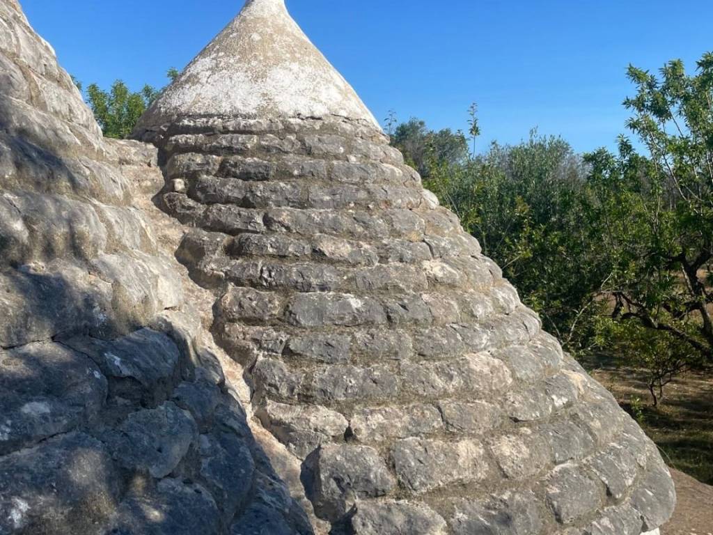 Rustico / casale a Ceglie messapica in contrada Falascuso - Foto 4