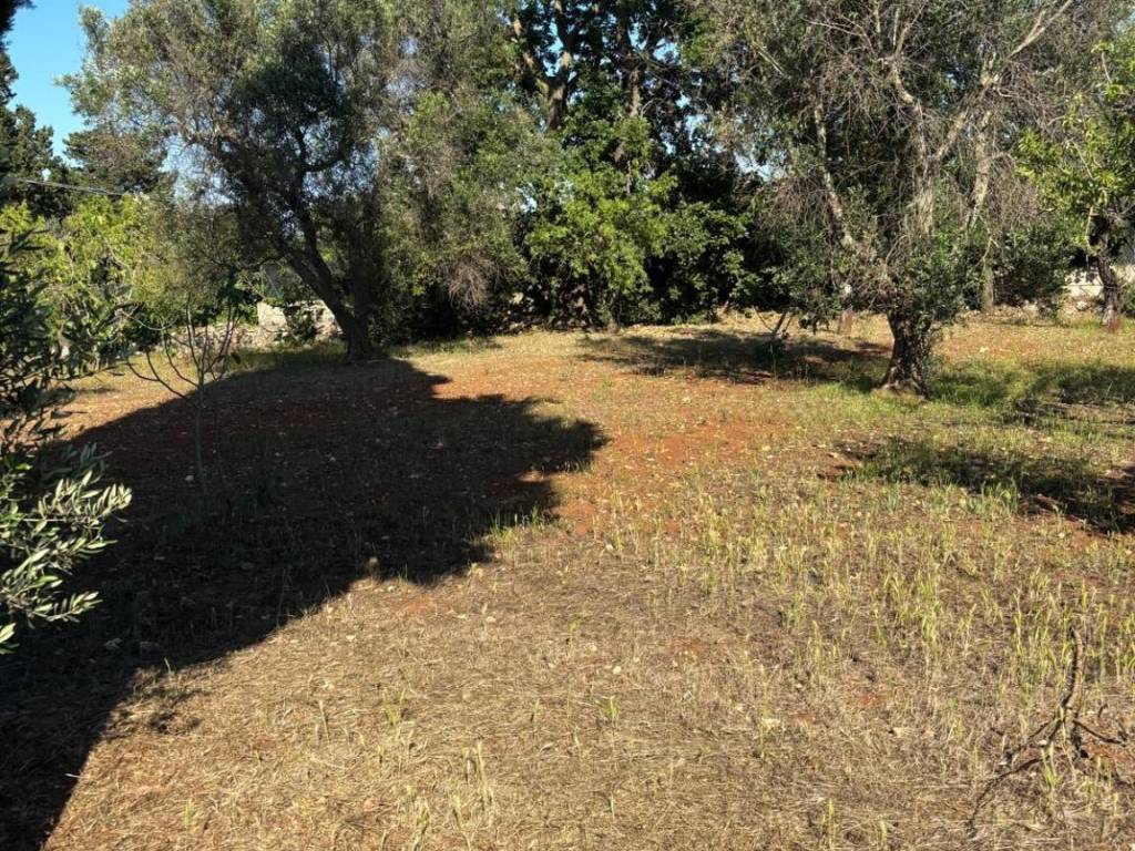 Rustico / casale a Ceglie messapica in contrada Falascuso - Foto 5