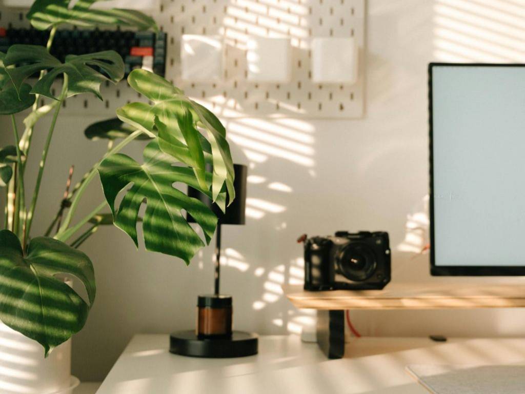 Villa a Montegrotto terme - Foto 5