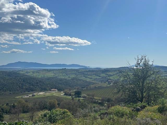 Rustico / casale a Magliano in toscana - Foto 2