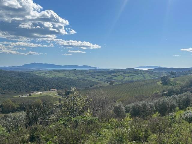 Rustico / casale a Magliano in toscana - Foto 4