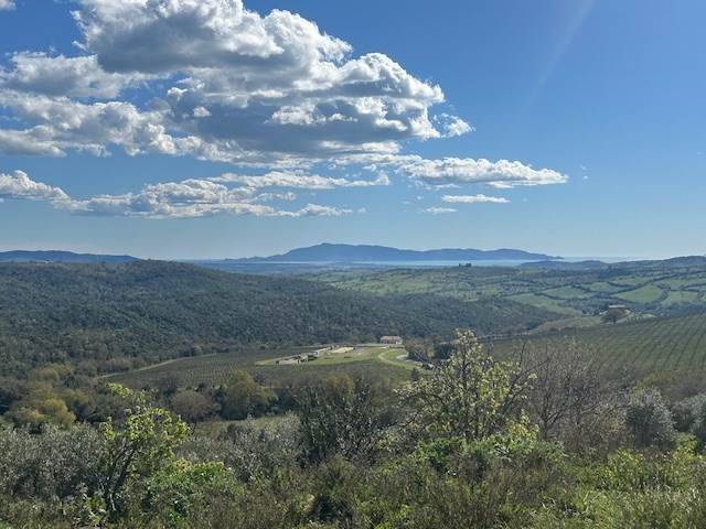 Rustico / casale a Magliano in toscana - Foto 5