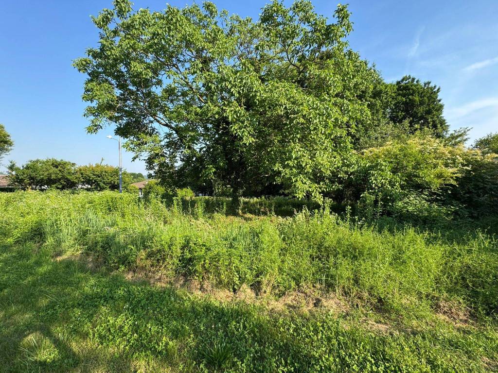 Terreno a Brebbia in Via Vignetta, 17 - Foto 5