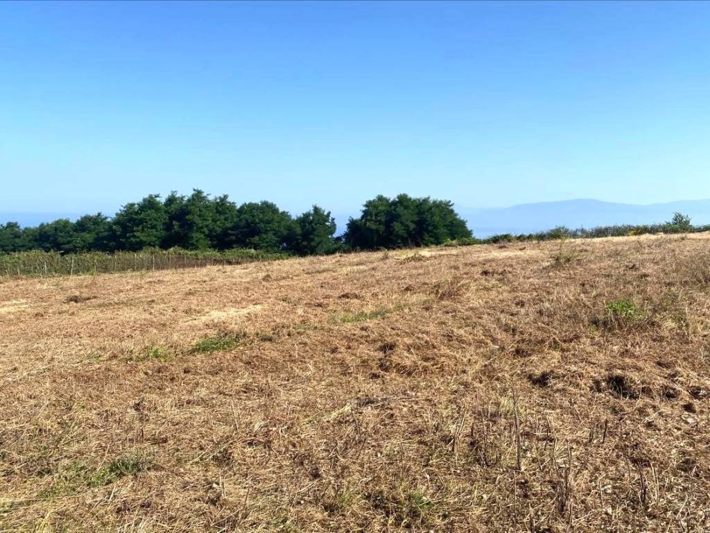 Terreno a Pizzo in Località Castelluccio - Foto 5
