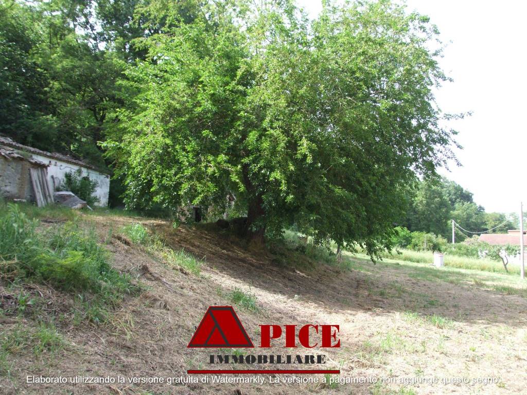 Rustico / casale a Apice in Contrada Tignano - Foto 4