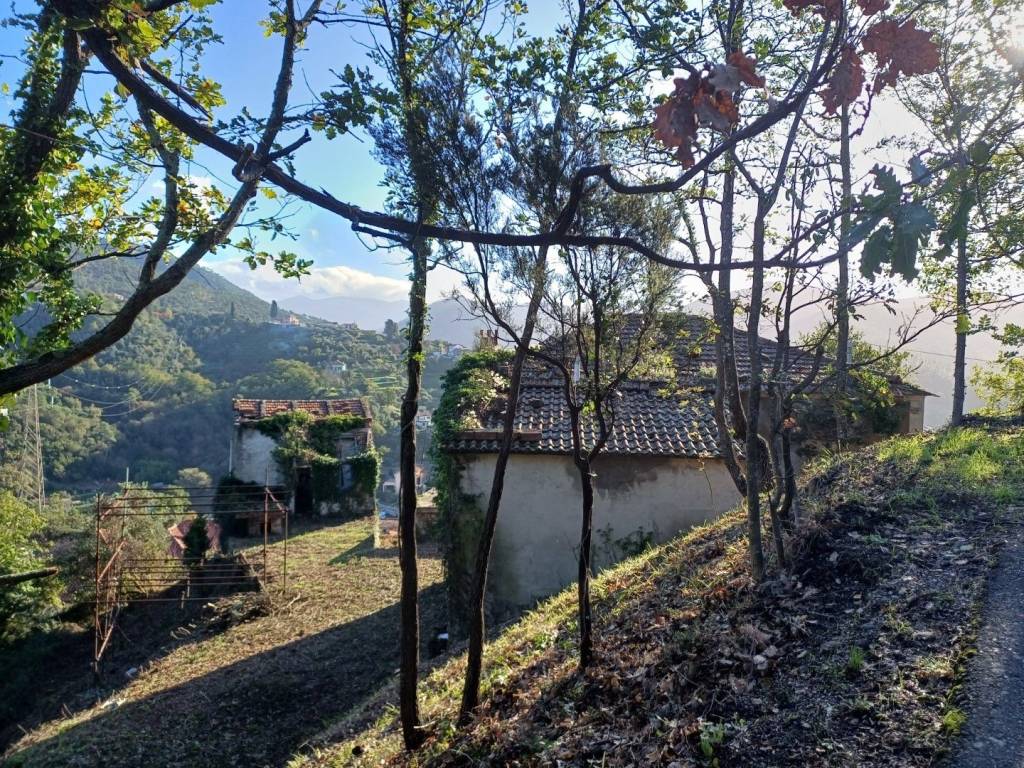 Rustico / casale a Casarza ligure in Via Olivella Caminata, 17 - Foto 3