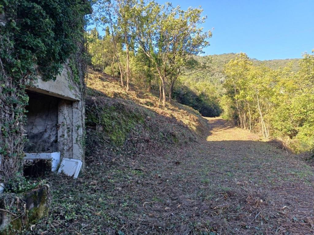 Rustico / casale a Casarza ligure in Via Olivella Caminata, 17 - Foto 5
