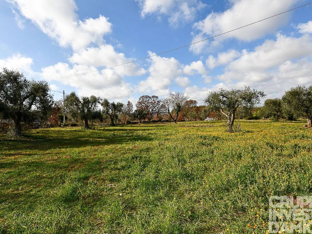 Casa indipendente a Ceglie messapica in Strada Provinciale ex SS 581 - Foto 4