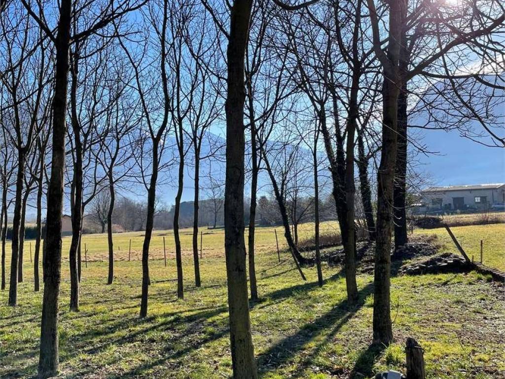 Terreno a Samolaco in San Pietro - Foto 2