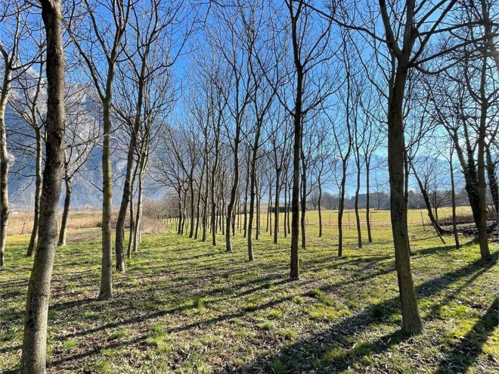Terreno a Samolaco in San Pietro - Foto 4