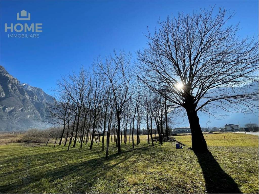 Terreno a Samolaco in San Pietro - Foto 5