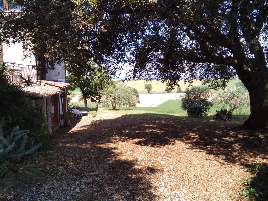 Appartamento a Castiglione del lago in Via Belveduto - Foto 3