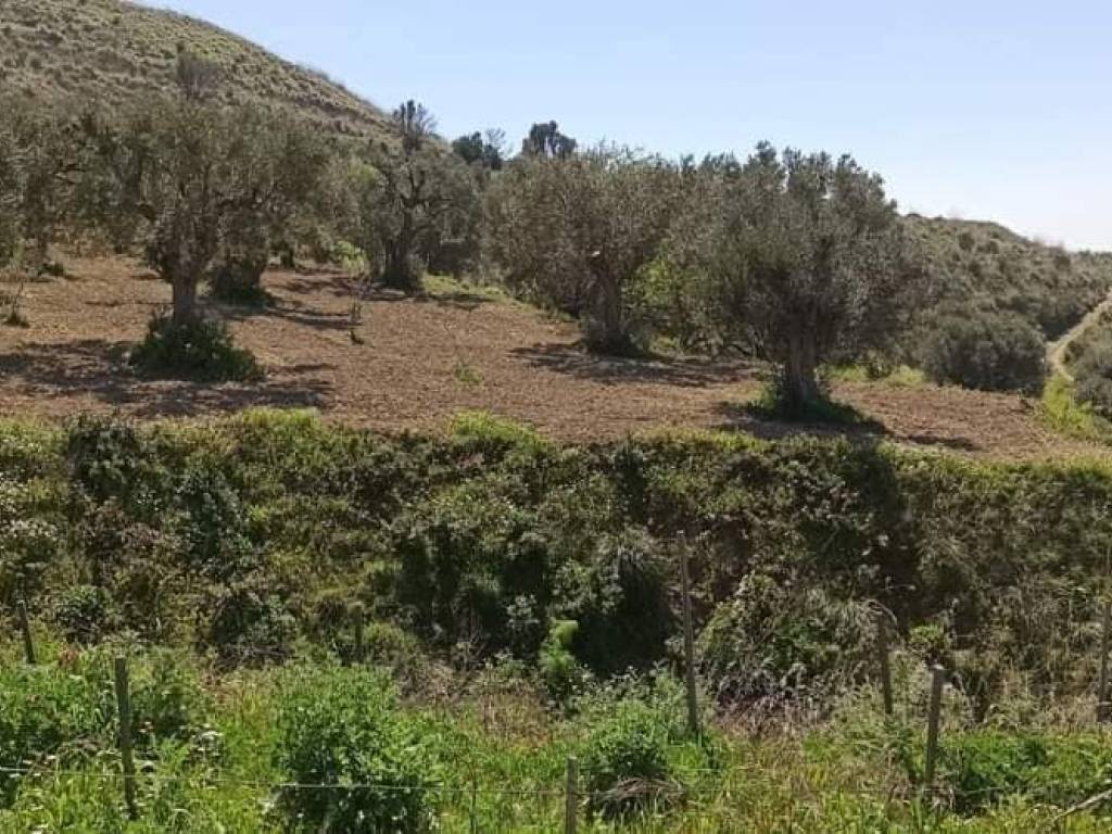 Terreno a Motta san giovanni - Foto 2