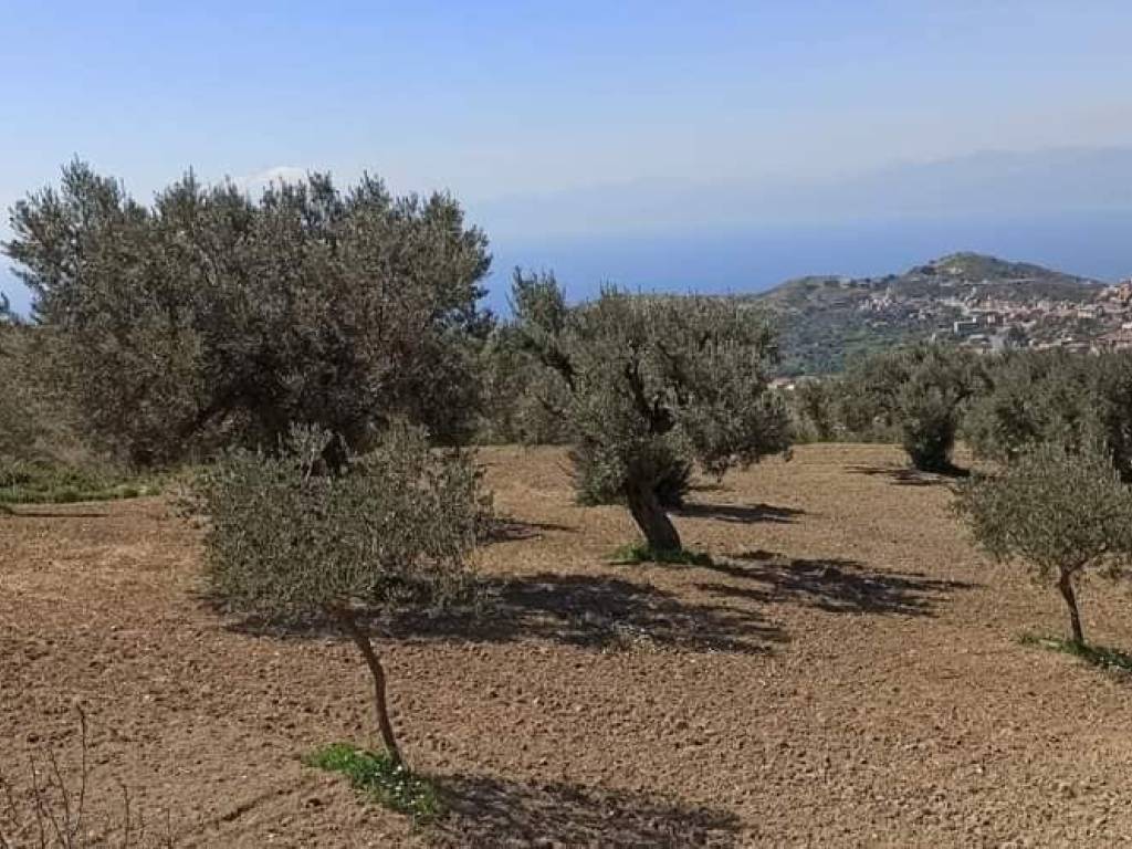 Terreno a Motta san giovanni - Foto 5
