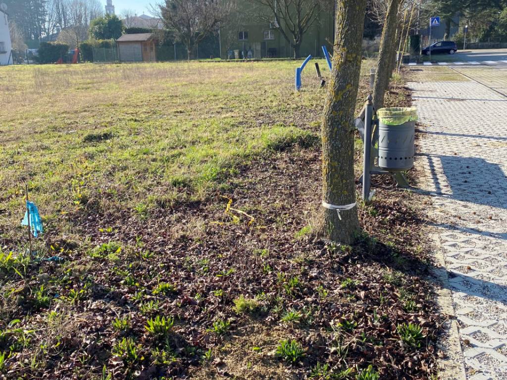 Terreno a Borgoricco - Foto 2