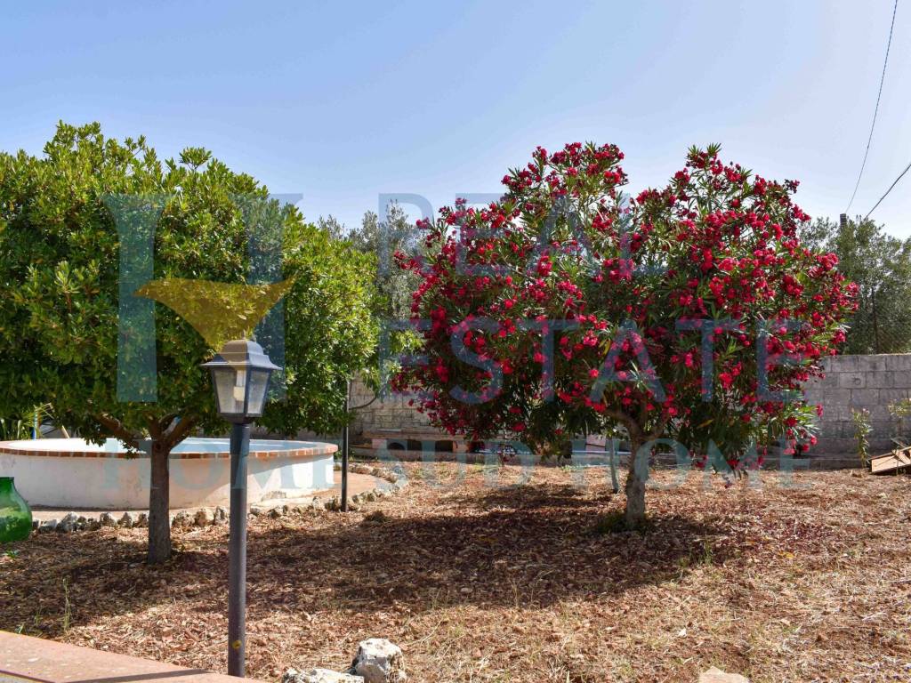 Villa a Avola in Contrada Gebbia - Foto 3