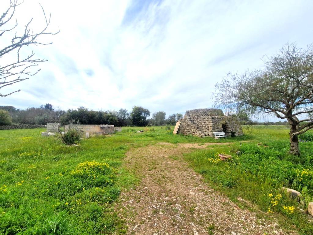 Terreno a Tricase in Strada Vicinale Serra del Fico 1 - Foto 4