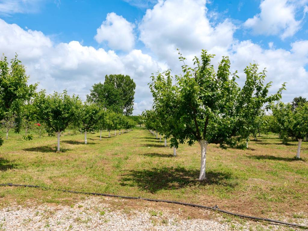 Terreno a Masate in Via Strada Provinciale 179 - Foto 3