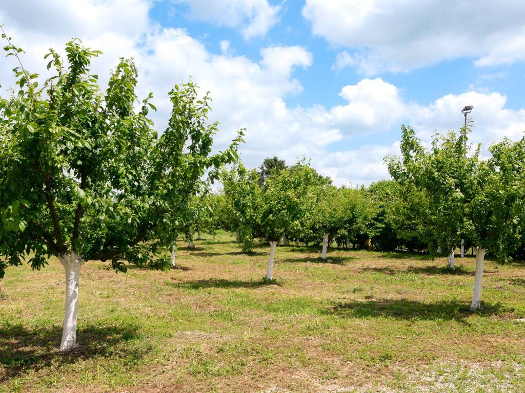Terreno a Masate in Via Strada Provinciale 179 - Foto 4