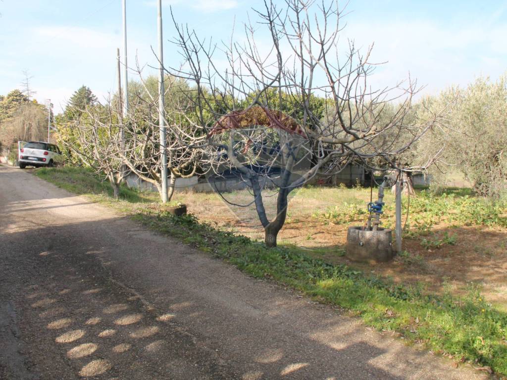 Terreno a Pianella in Via Boreale - Foto 4
