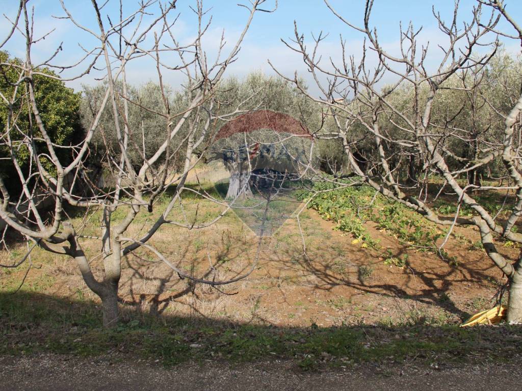 Terreno a Pianella in Via Boreale - Foto 5