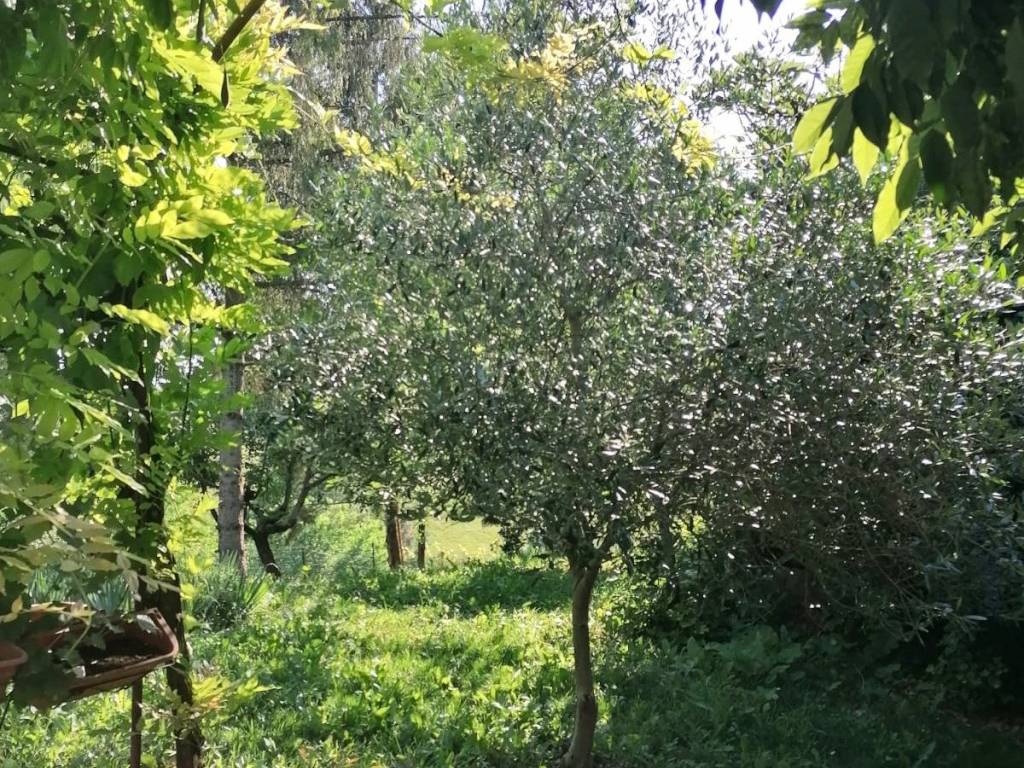 Rustico / casale a Asti in Località Viatosto, 48 - Foto 5
