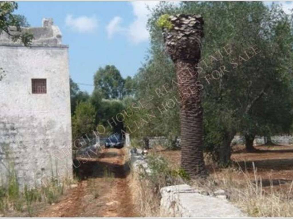 Rustico / casale a Ostuni in Contrada San Benedetto - Foto 2