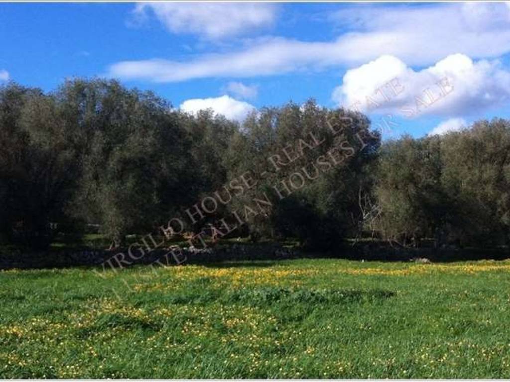 Rustico / casale a Ostuni in Contrada San Benedetto - Foto 3