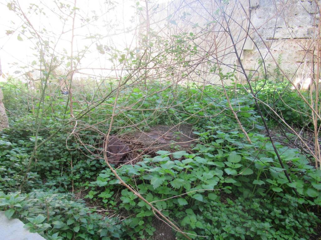 Villa a Botrugno in Tripoli, 18 - Foto 3
