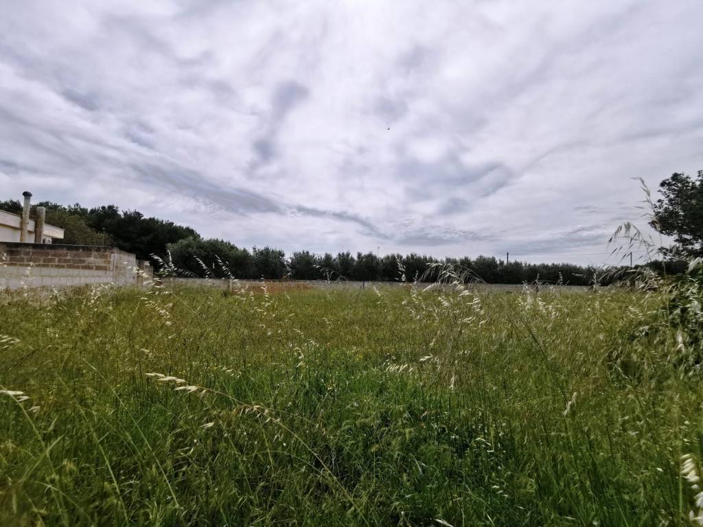 Terreno a Corigliano d'otranto in Via delle vigne s.n.c - Foto 2