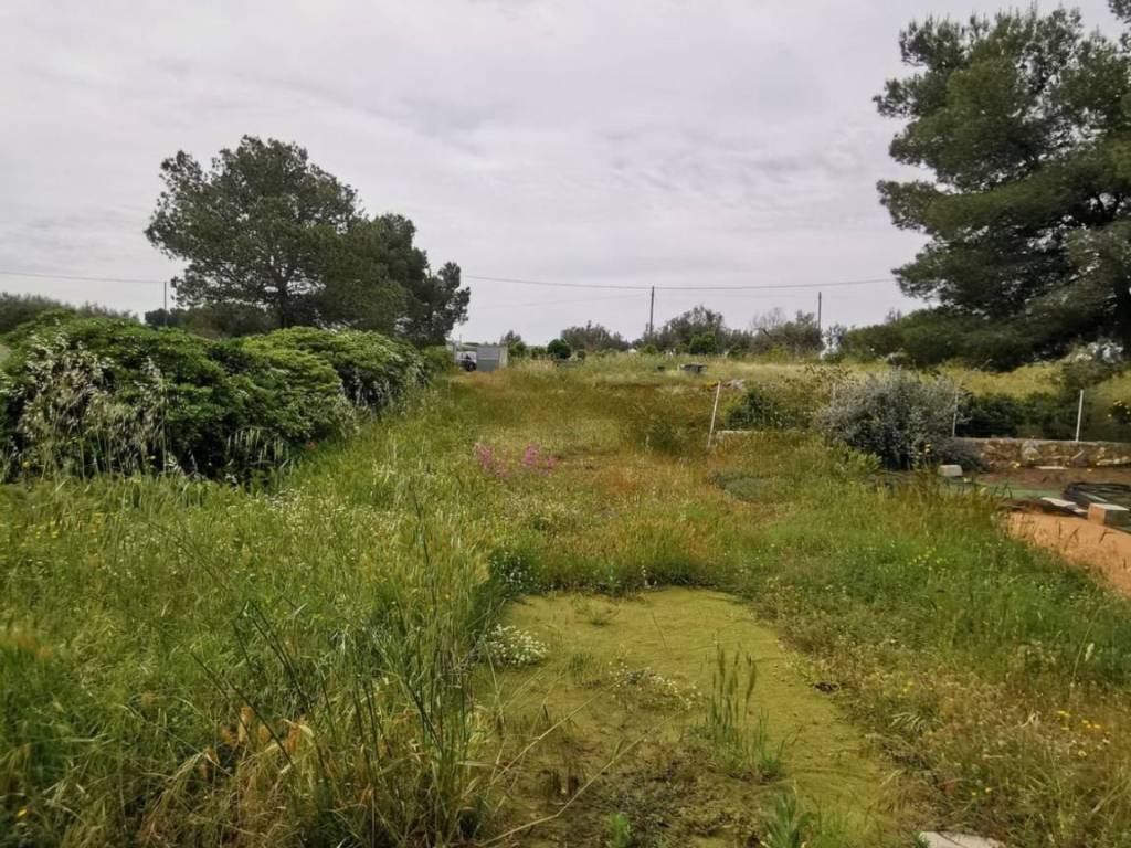 Terreno a Corigliano d'otranto in Via delle vigne s.n.c - Foto 3