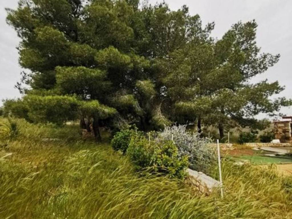 Terreno a Corigliano d'otranto in Via delle vigne s.n.c - Foto 4