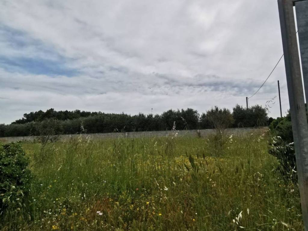 Terreno a Corigliano d'otranto in Via delle vigne s.n.c - Foto 5